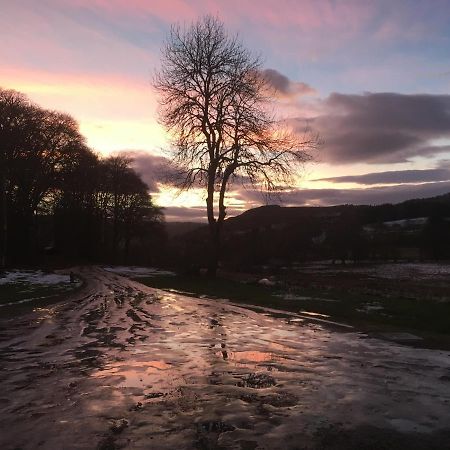 Beautiful Highland 1-Bed Cottage Inverness Kültér fotó