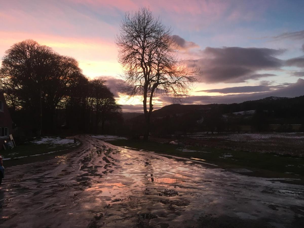 Beautiful Highland 1-Bed Cottage Inverness Kültér fotó